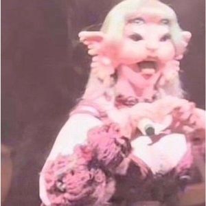 Meet your Posher, Ryleigh